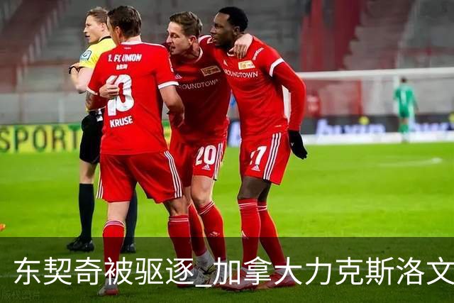 东契奇被驱逐 加拿大力克斯洛文尼亚晋级四强