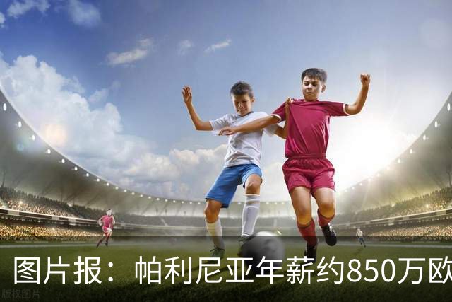 图片报：帕利尼亚年薪约850万欧，大概率将在季前备战回归拜仁